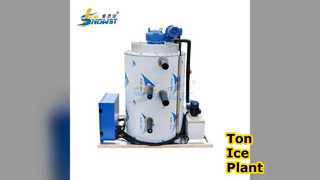 Control PLC del fabricante de plantas de hielo en escamas de toneladas